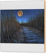 Blue Moon On Boardwalk In Layton  Utah Wood Print