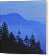 Blue Morning - Fs000064 Wood Print