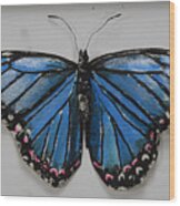 Blue Morpho Butterfly Wood Print