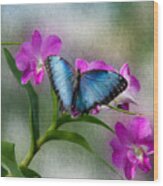 Blue Morpho With Orchids Wood Print