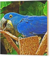 Blue Parrot On Stump Wood Print