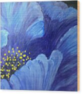 Blue Poppy Wood Print