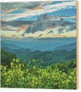 Blue Ridge Parkway Nc Wildflower Sunset Wood Print