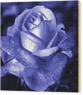 Blue Rose Wood Print