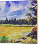 Blue Skies Pines And Meadows Wood Print