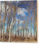Blue Sky And Trees Wood Print