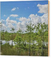 Blue Sky Over Grassy Waters Wood Print
