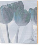 Blue Tulips Wood Print