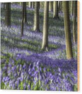Bluebell Forest Color Explosion Wood Print