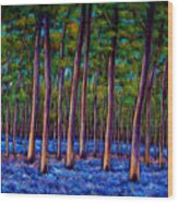 Bluebell Wood Wood Print