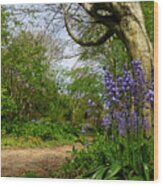 Bluebells By The Tree Wood Print