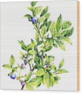 Blueberry Branch Wood Print