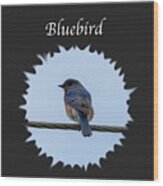 Bluebird Wood Print