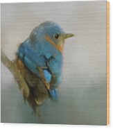 Bluebird Wood Print