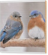 Bluebird Love Wood Print