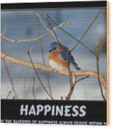 Bluebird Of Happiness Wood Print