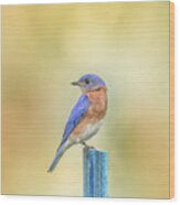 Bluebird On Blue Stick Wood Print