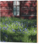 Bluebonnets In The Shade Wood Print