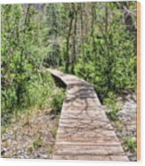 Boardwalk At Convict Lake Wood Print