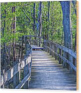 Boardwalk Going Into The Woods Wood Print