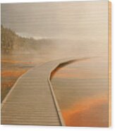 Boardwalk Of Life Wood Print