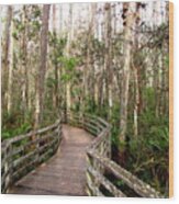 Boardwalk Through Corkscrew Swamp Wood Print