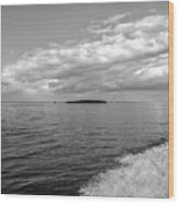 Boat Wake On Florida Bay Wood Print