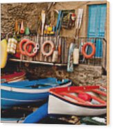 Boats And Boat House Vernazza Cinque Terre Italy Wood Print