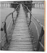 Bodensee Walkway B And W Wood Print