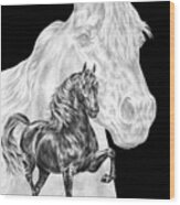 Body Mind And Spirit - Morgan Horse Print Wood Print