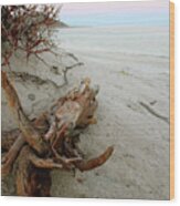 Bonanza Beach Driftwood Wood Print