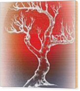 Bonsai Red Wood Print