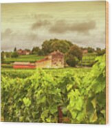 Bordeaux Country Side Panorama Wood Print