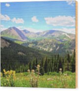 Boreas Pass Colorado Wood Print