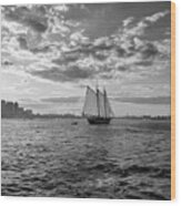 Boston Harbor Sailboat Boston Ma Black And White Wood Print