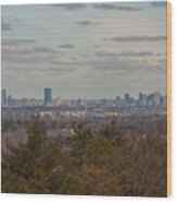 Boston Skyline As Seen From The Summit Of Buck Hill Wood Print