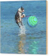 Boston Terrier Jump - Painterly Wood Print