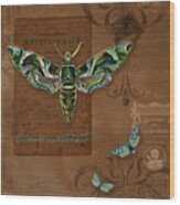 Botanica Vintage Butterflies N Moths Collage 2 Wood Print