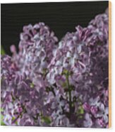 Bouquet Of Lilacs Wood Print