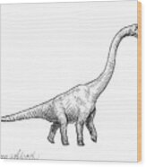 Brachiosaurus Dinosaur Black And White Dino Drawing Wood Print