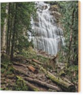 Bridal Waterfalls Wood Print