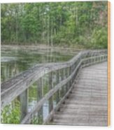 3010 - Linear Park Bridge Over Wetlands Ii Wood Print