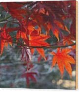 Bright Autumn Leaves Wood Print