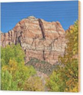 Bright Colors At Zion Wood Print