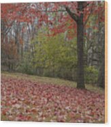 Bright Red Maple Tree Wood Print