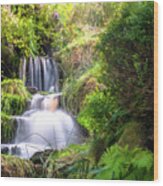 Bronte Waterfall Wood Print