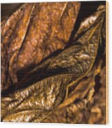 Bronze Leaves Wood Print