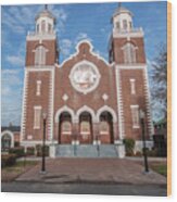 Brown Chapel African Methodist Episcopal Church Selma Alabama Wood Print
