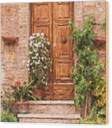 Brown Door Of Tuscany Wood Print