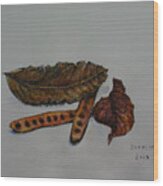 Brown Of Leafs And Seeds Wood Print